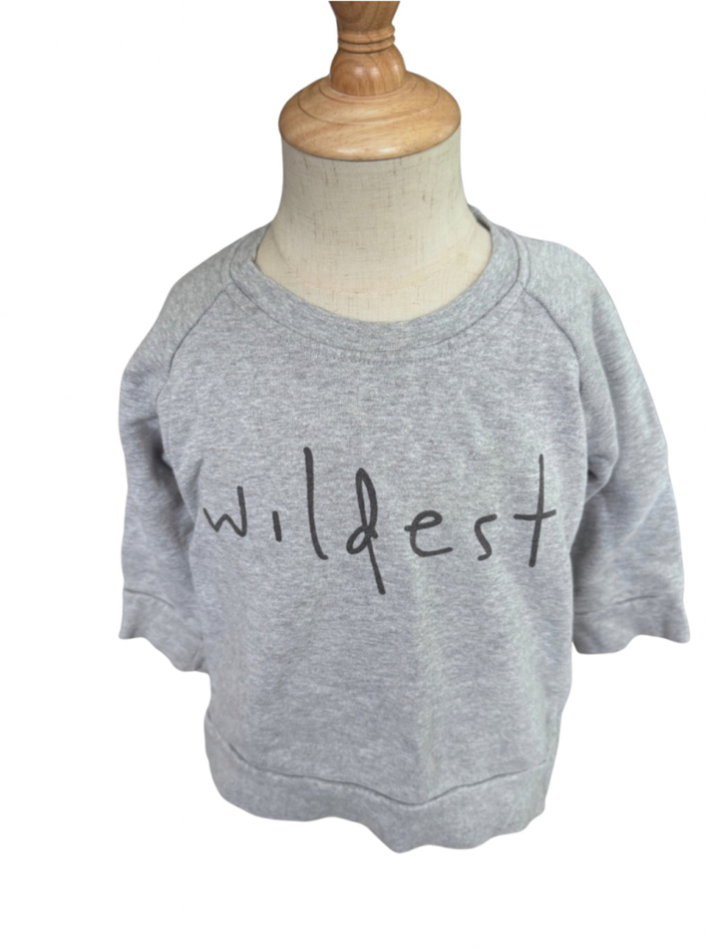 Boys Jamie Kay Wildest Sweatshirt Size 3T